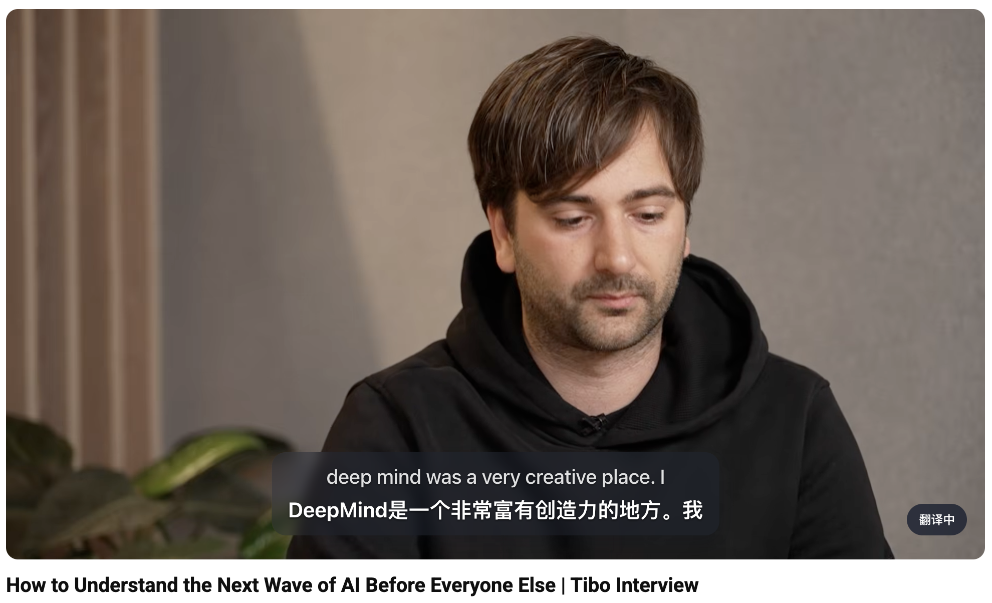 YouTube Bilingual Subtitles